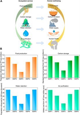 Assessing the impacts of future urban expansion on multiple ecosystem services in the transnational area of Changbai Mountain